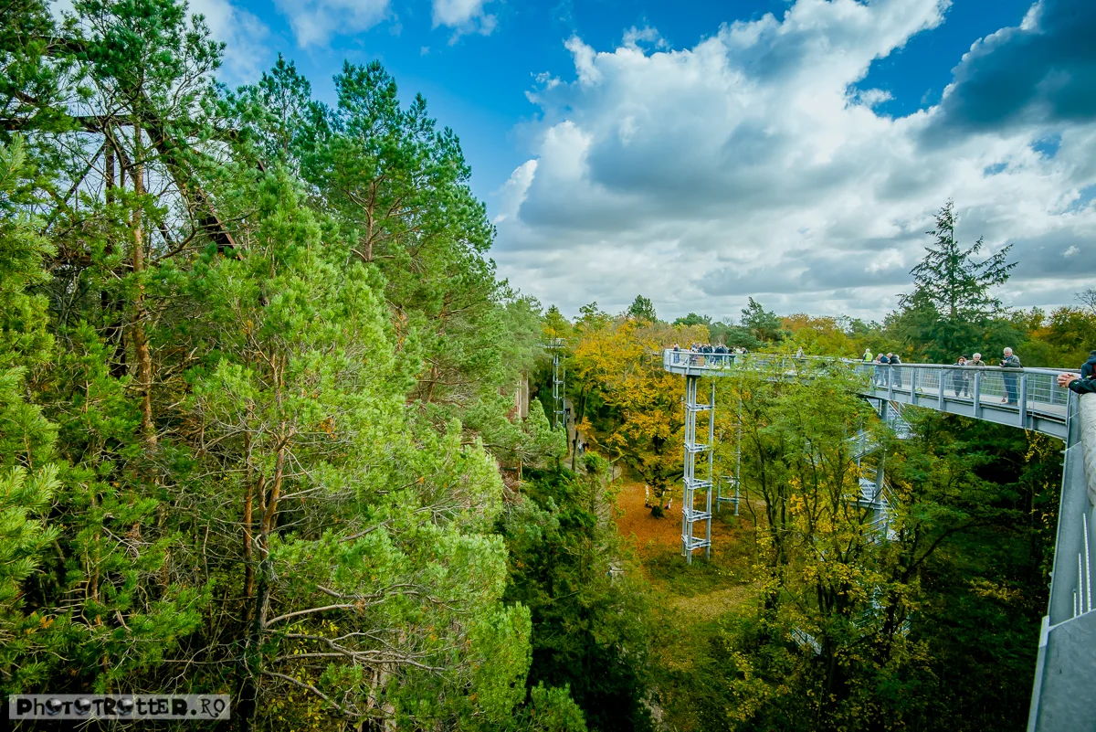 DSC_7501.jpg