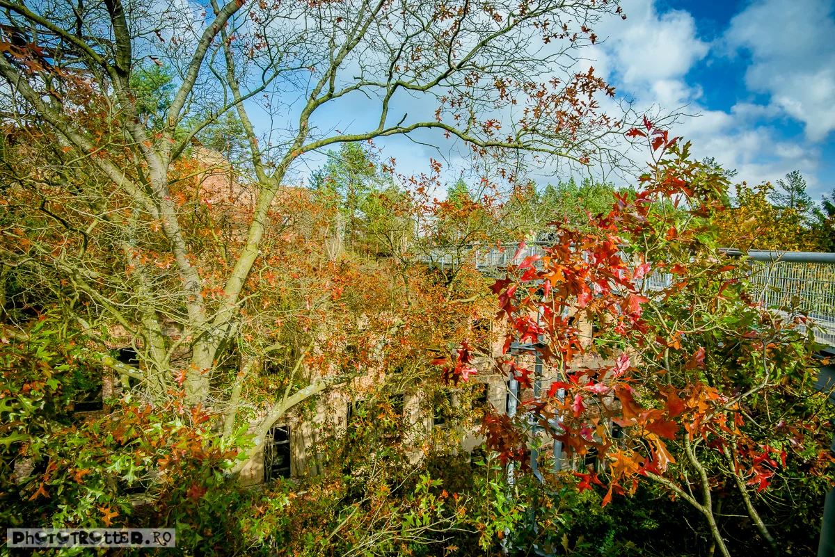 DSC_7515.jpg