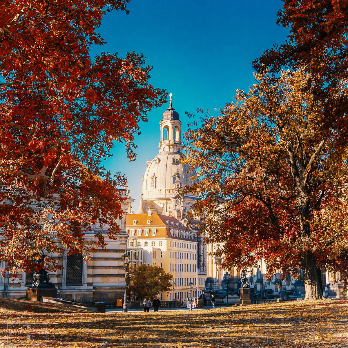 dresden phototrotter (6).jpg