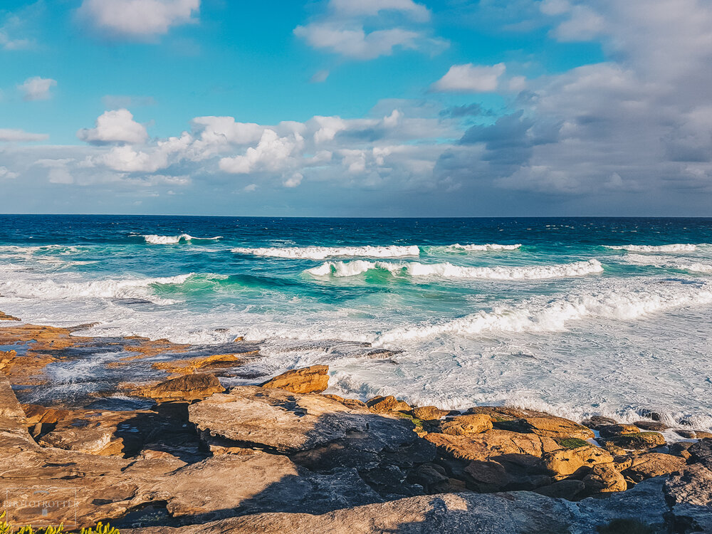 Phototrottrer Tamarama (2).jpg