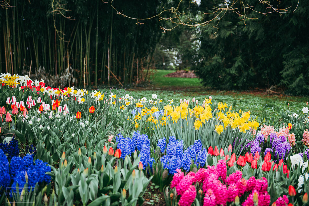 Maina island flowers Phototrotter (23).jpg