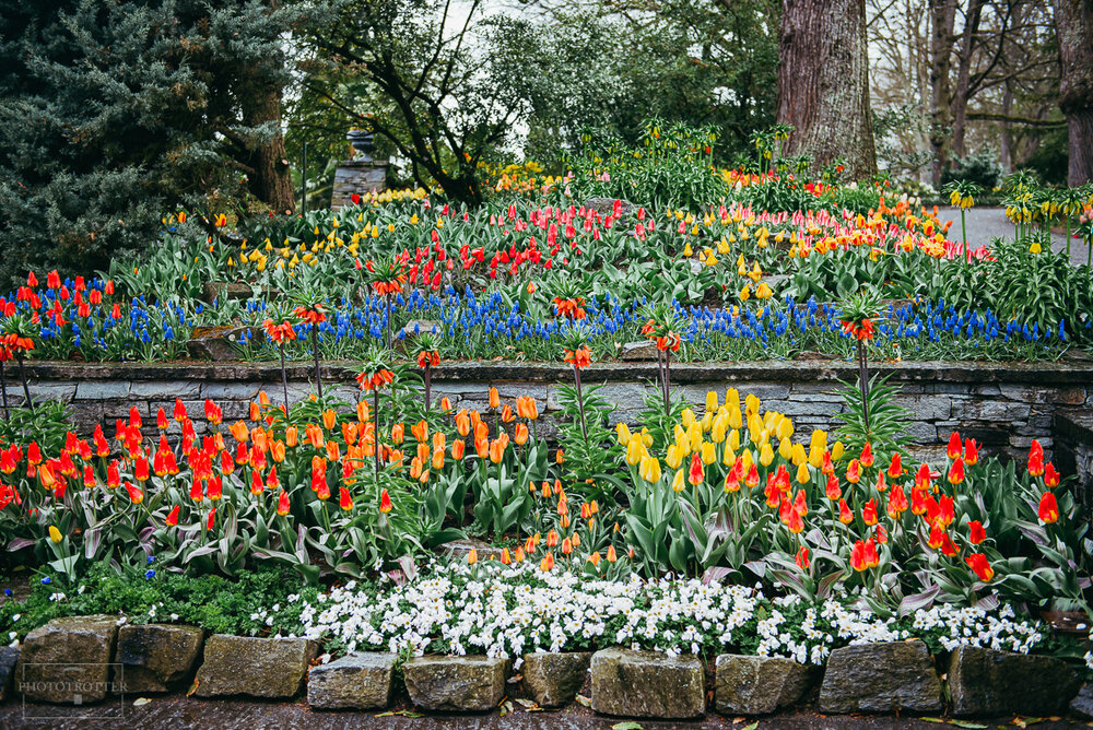 Maina island flowers Phototrotter (30).jpg