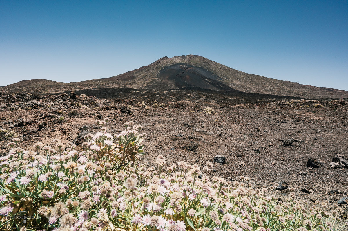 Teide Volcano Tenerife Phototrotter-6.jpg