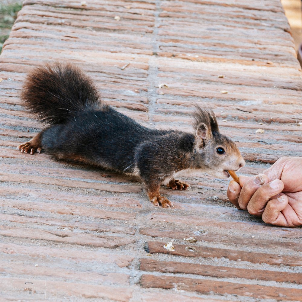 Eating Malaga Phototrotter (9).jpg