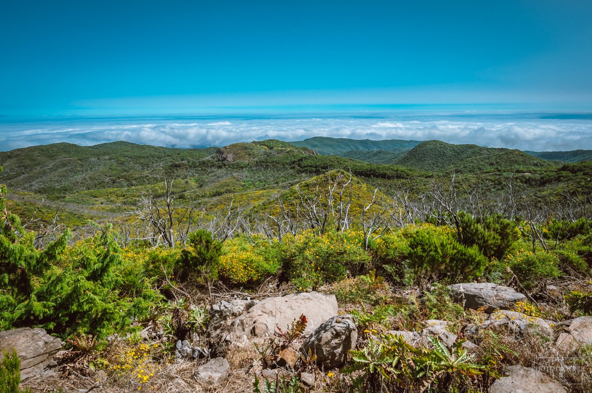 La Gomera Phototrotter (31).jpg