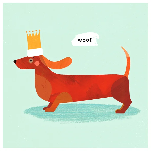 Sugar-Snap-Studio-Dog.jpg
