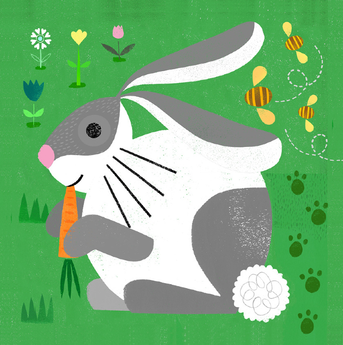 Sugar-Snap-Studio-Bunny.jpg