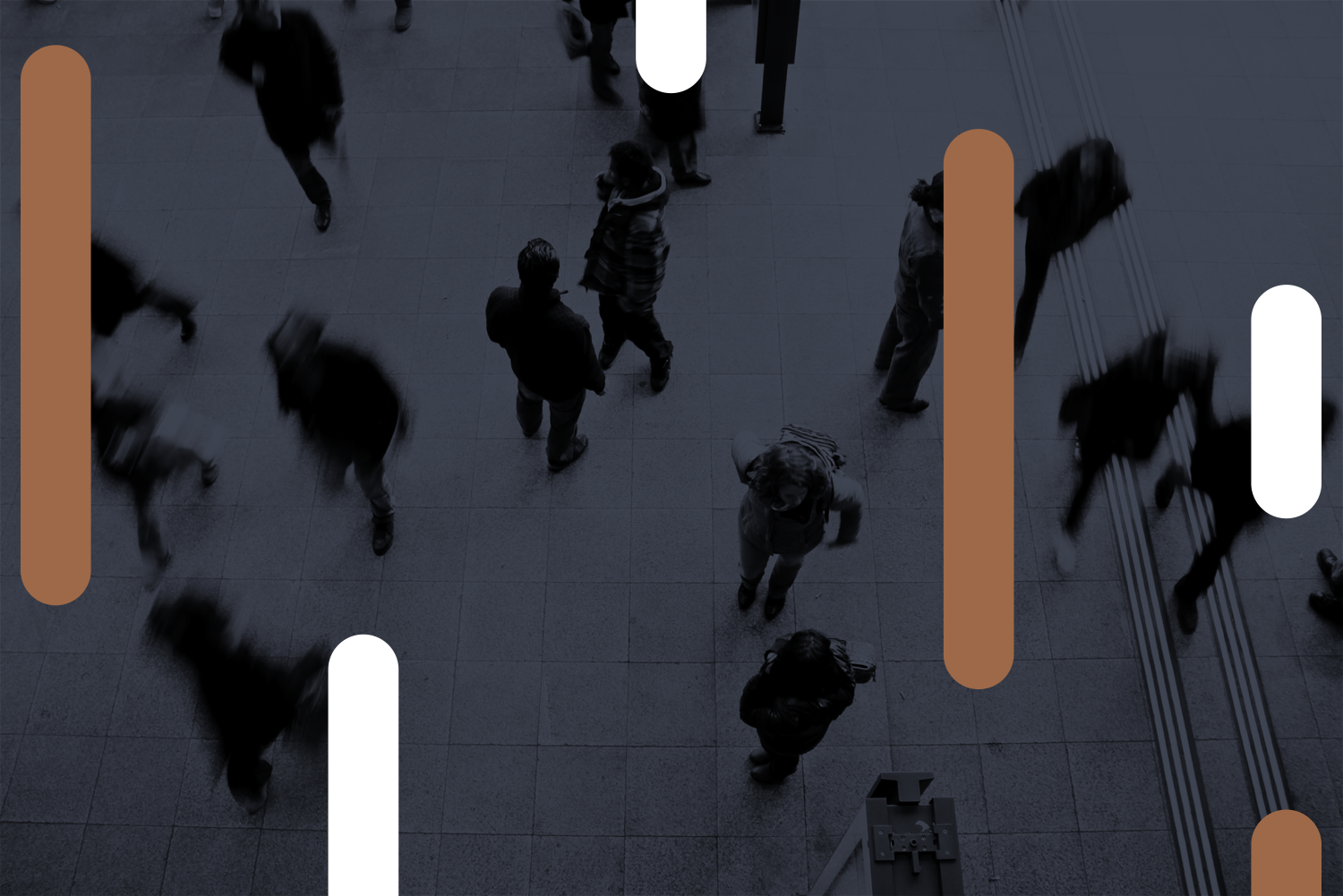 LLGwallpaper-contact.png