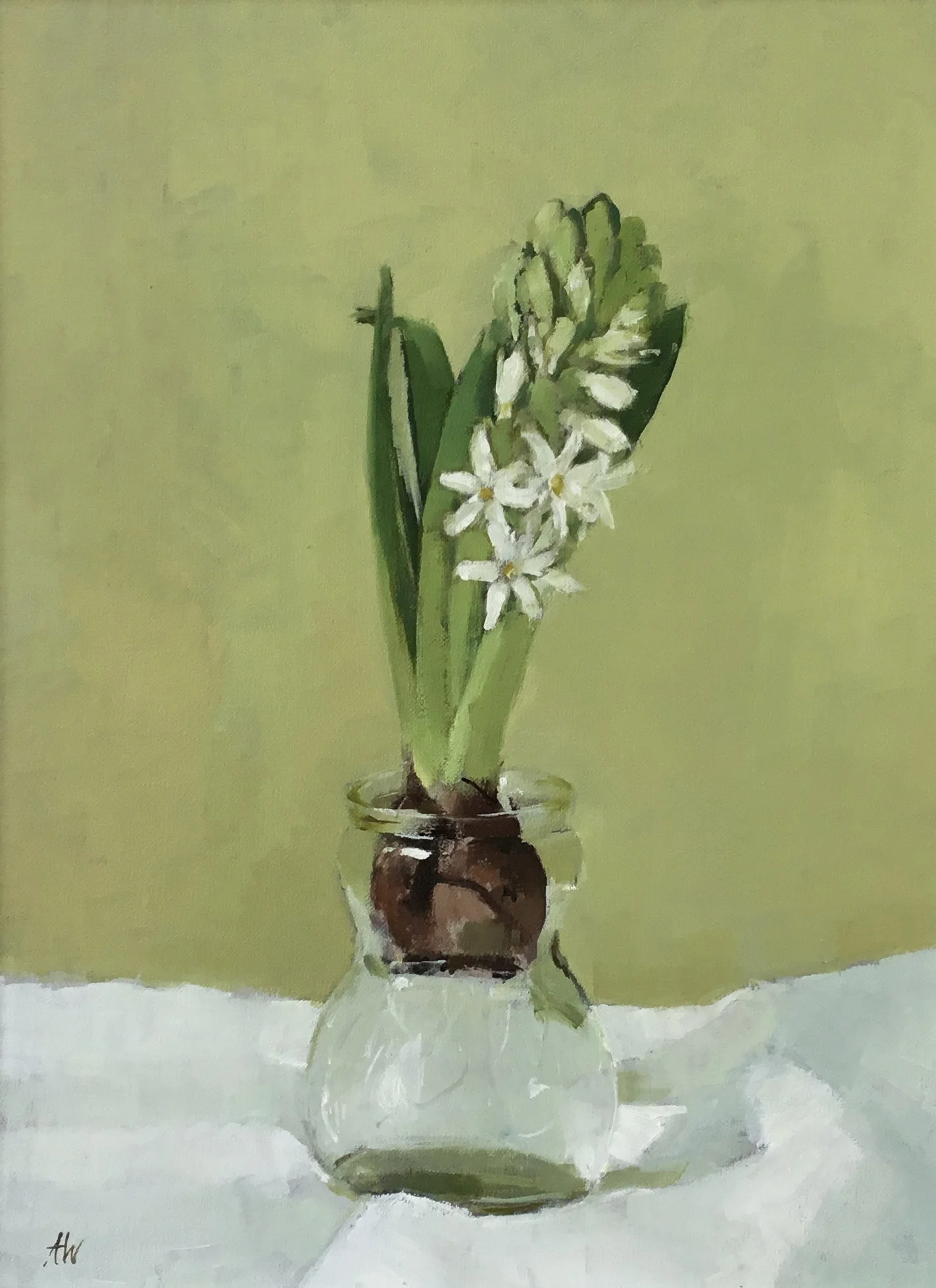 Hyacinth in Bulb Jar