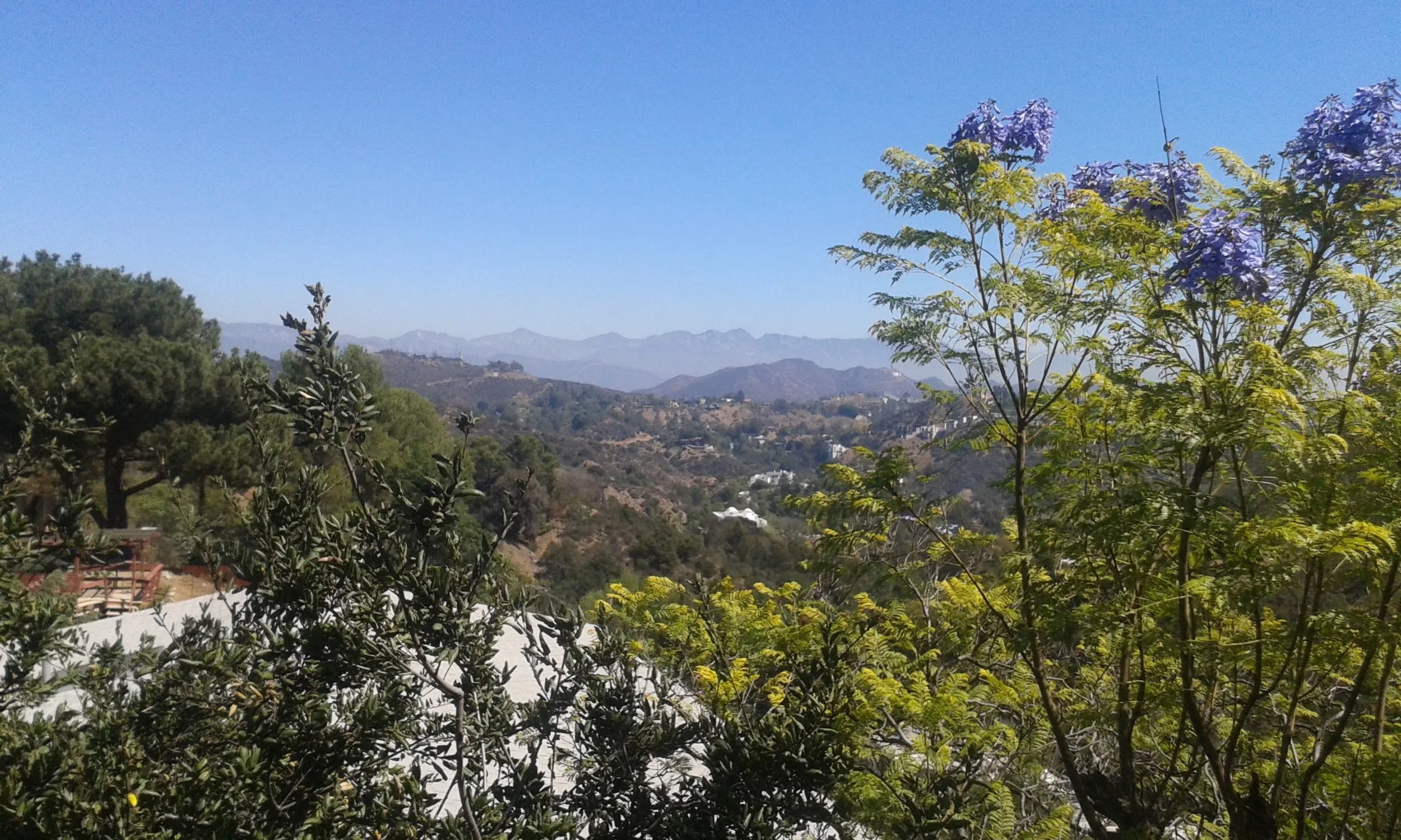 2014-09-23 12.05.00.jpg