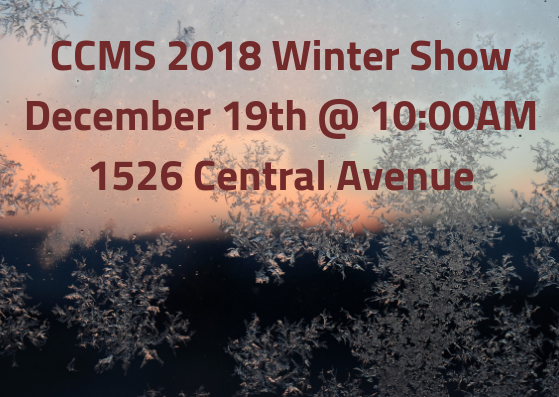 Winter Show 2018