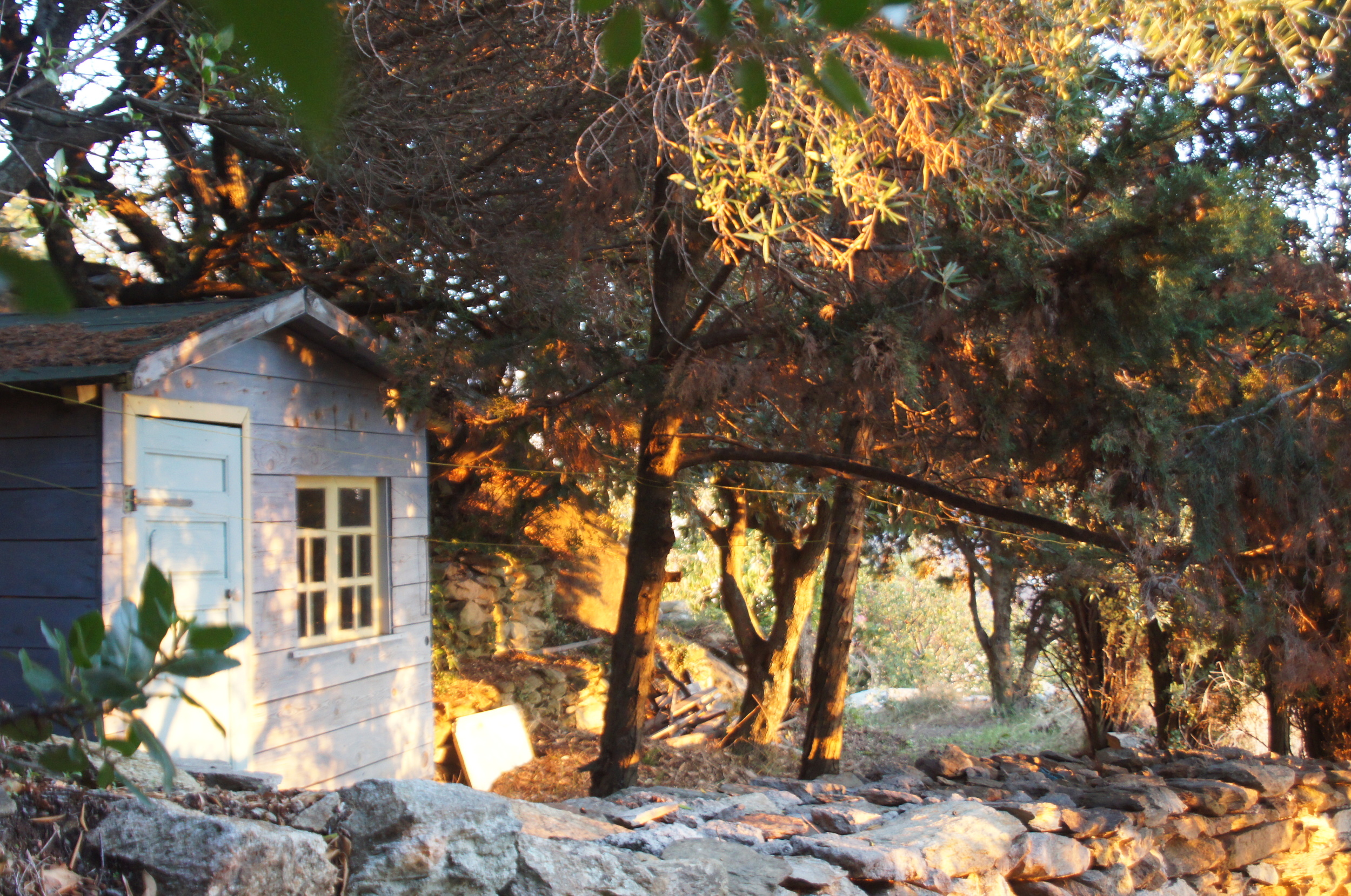  La cabane au fond du jardin 