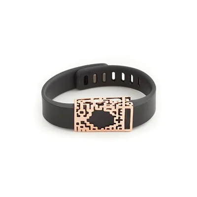 Bytten-Lucas-Slide-for-Fitbit-.jpg