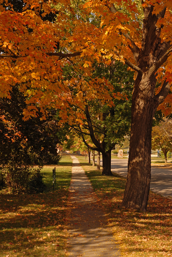 Fall street 2010.jpg