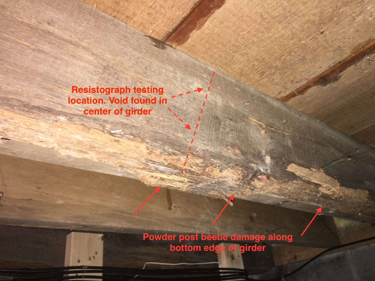 Photo 3 - First level girder with powder post beetle damage on the surface. Resistograph testing indicated a void in the center of this element at the mid-span in the center of the basement which was later found to be the result of termites and wood decay (see photo 4).