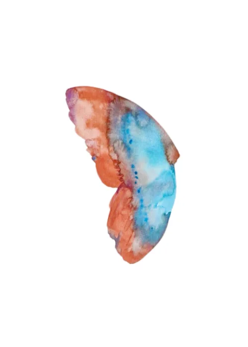 Morpho telemachs , 2016, watercolor on paper, 30x40cm