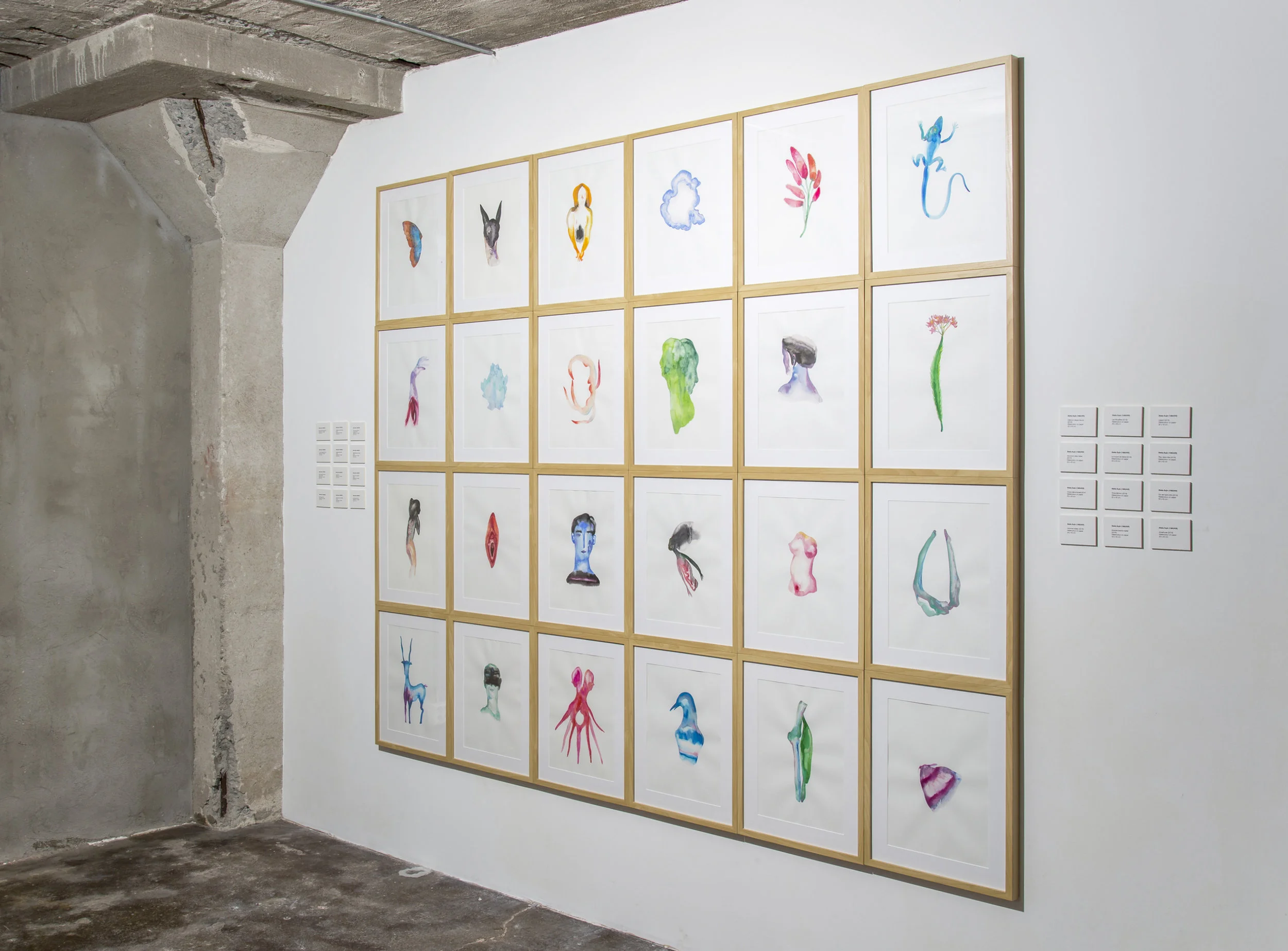 Journey of a dead hunter , 2016, installation made of 24 watercolor drawings on paper, 210x255cm Photo credit: Darla Nam