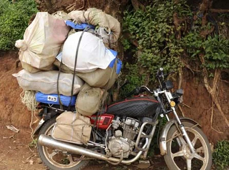 Next you'll see Frisbees piled thus, bringing Joy to village children. 