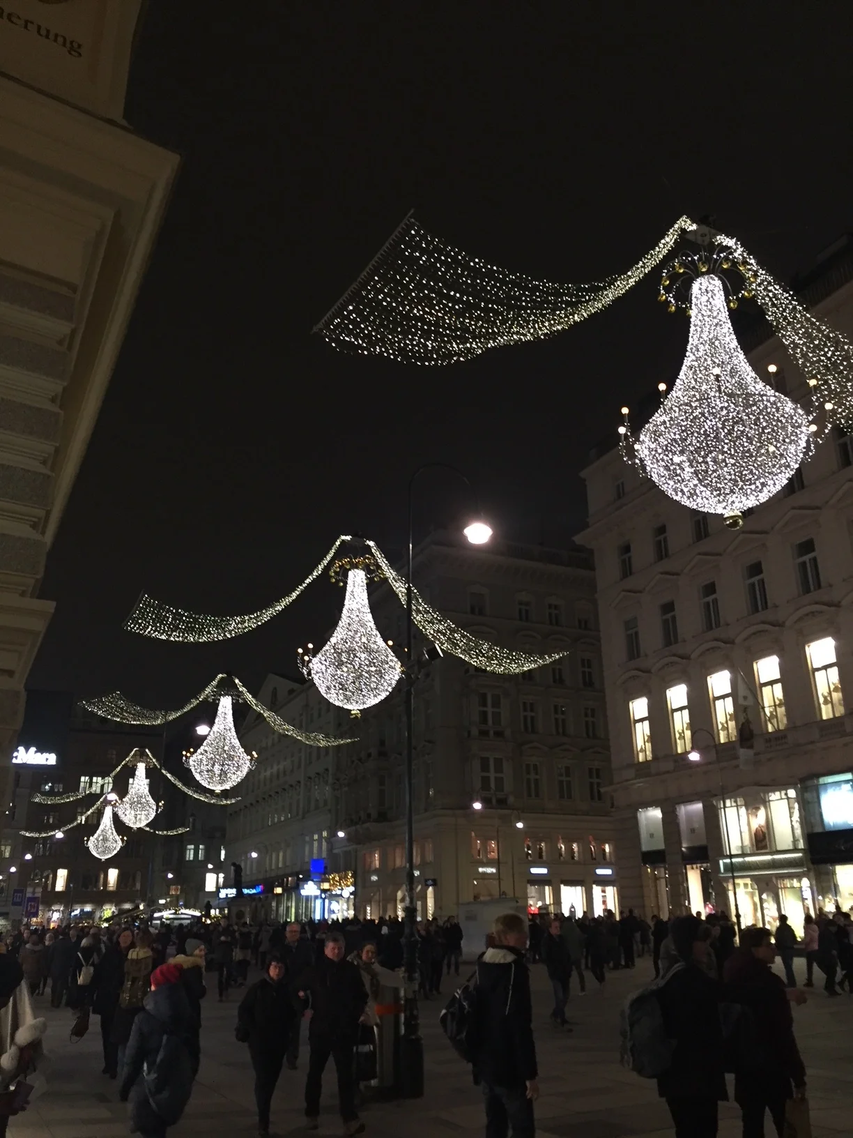 Thanksgiving in Vienna