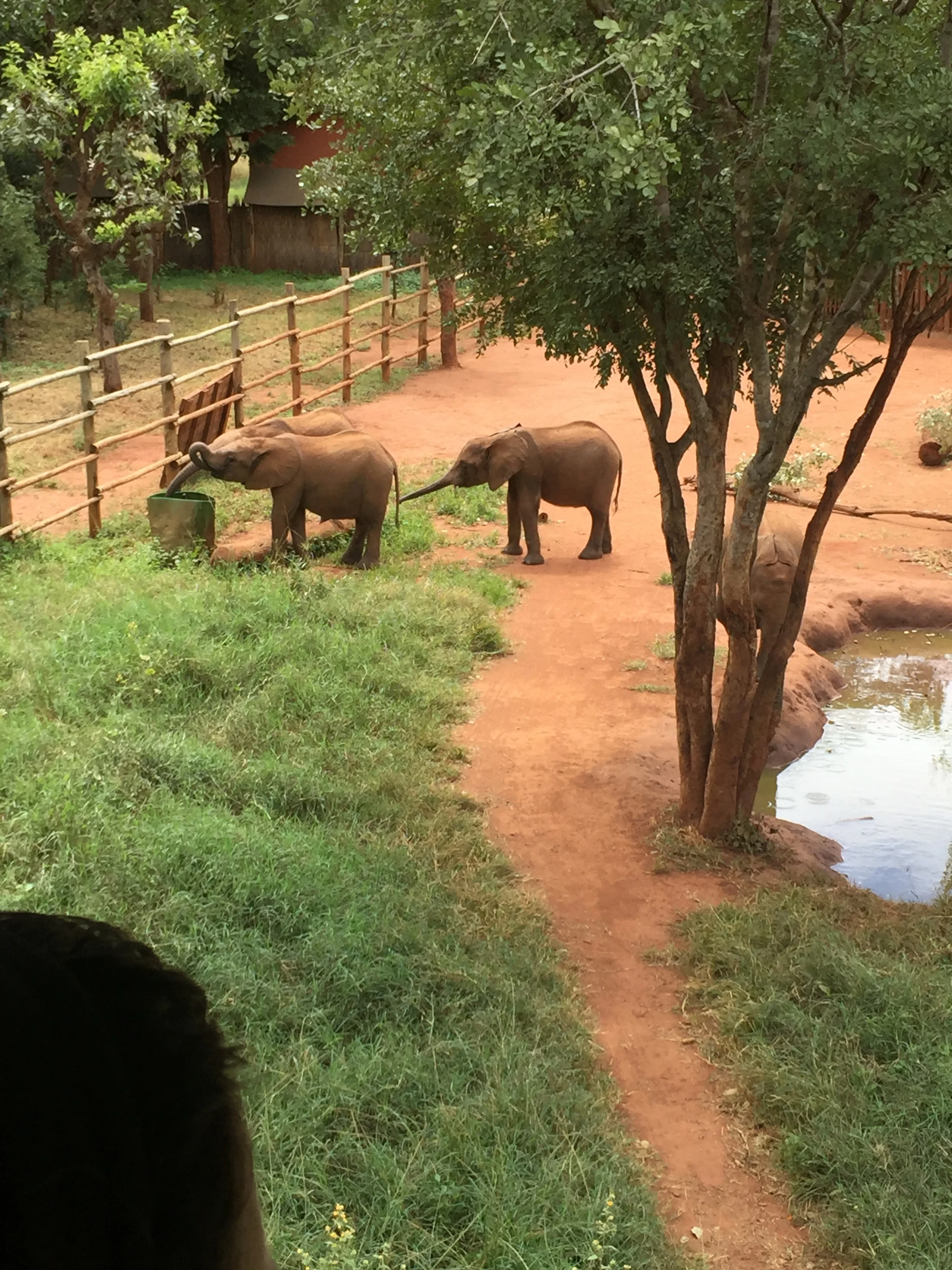 Lusaka: My First Time in Africa!