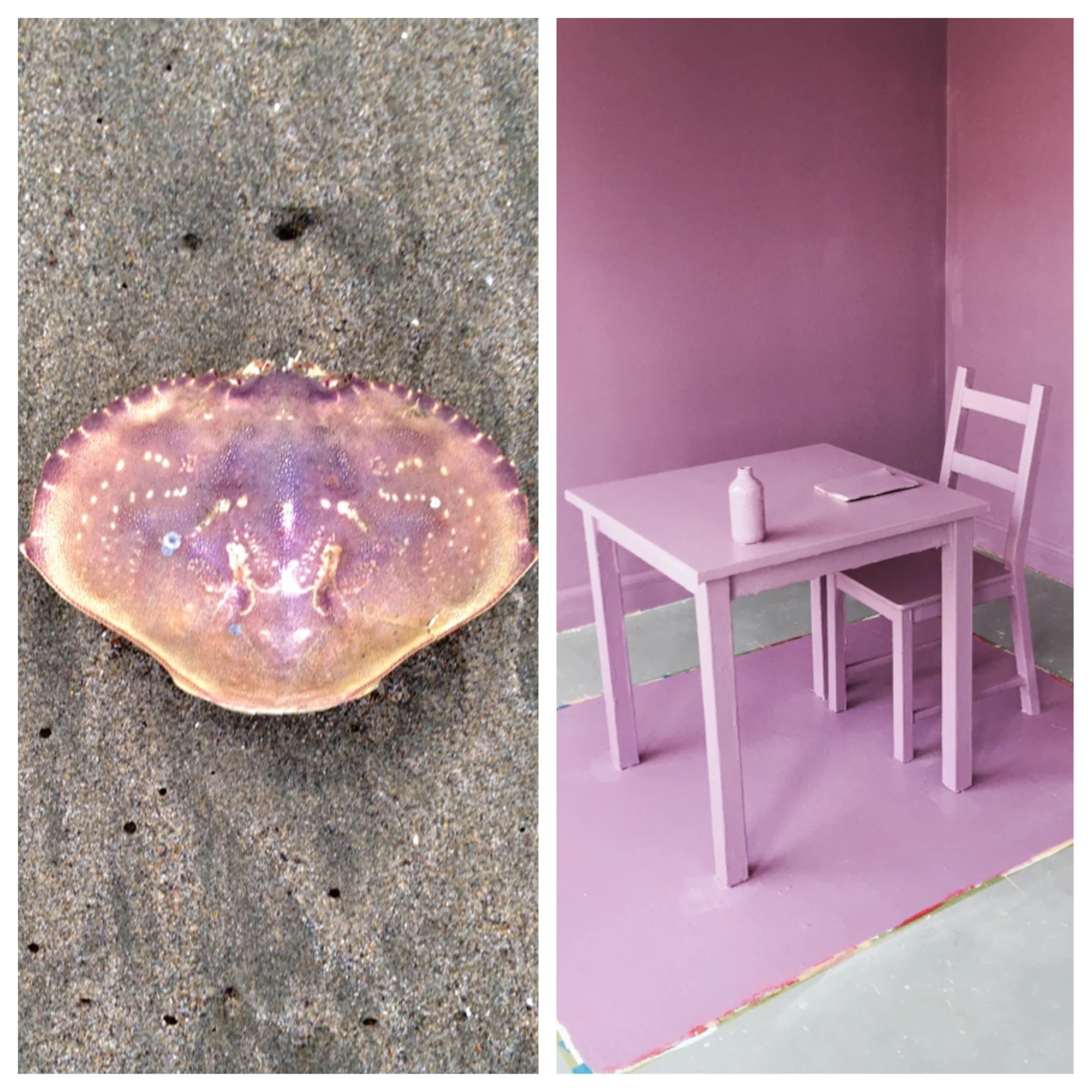Day 14 // PURPLE CRAB