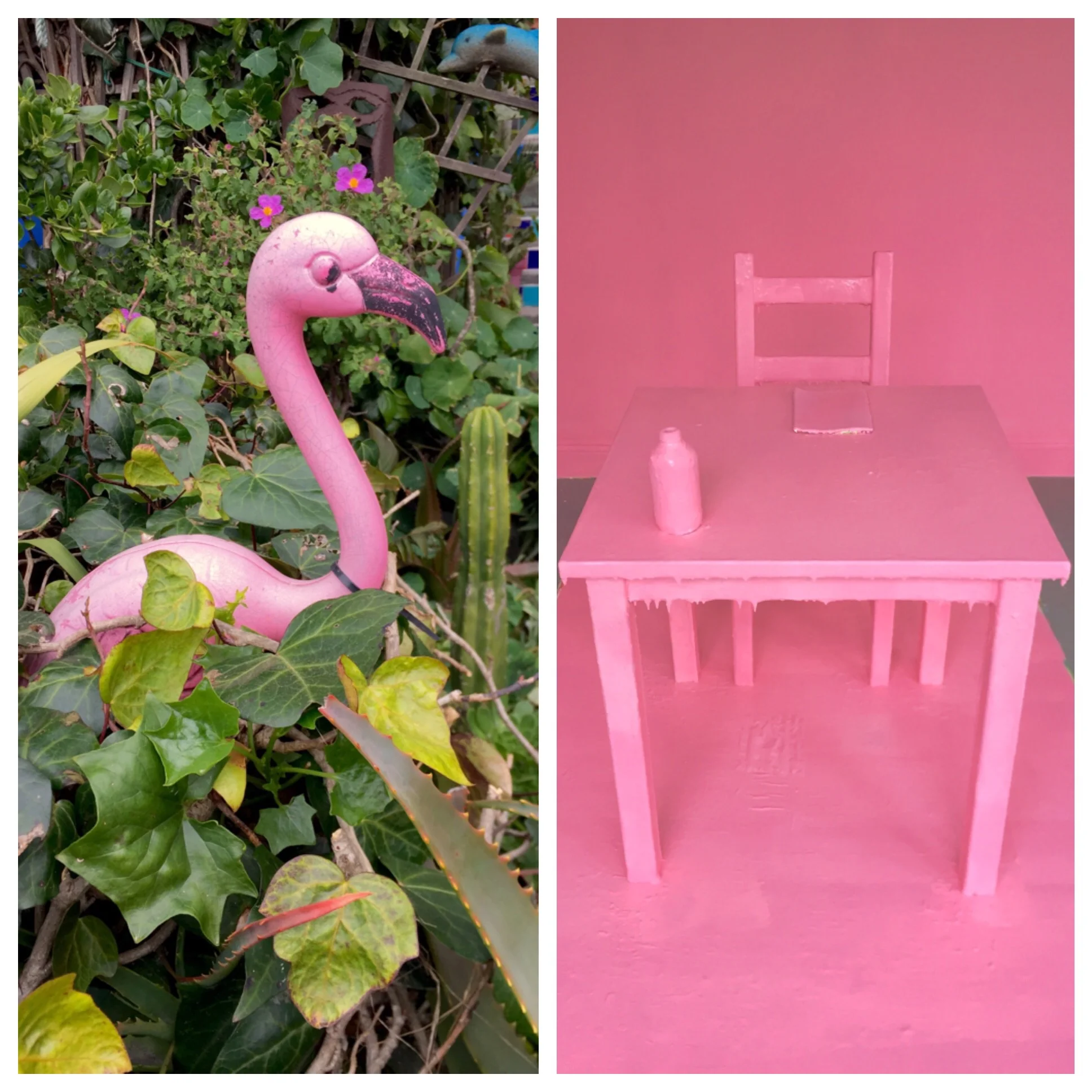 Day 43 // PINK FLAMINGO