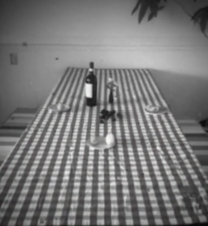 The Indoor Picnic