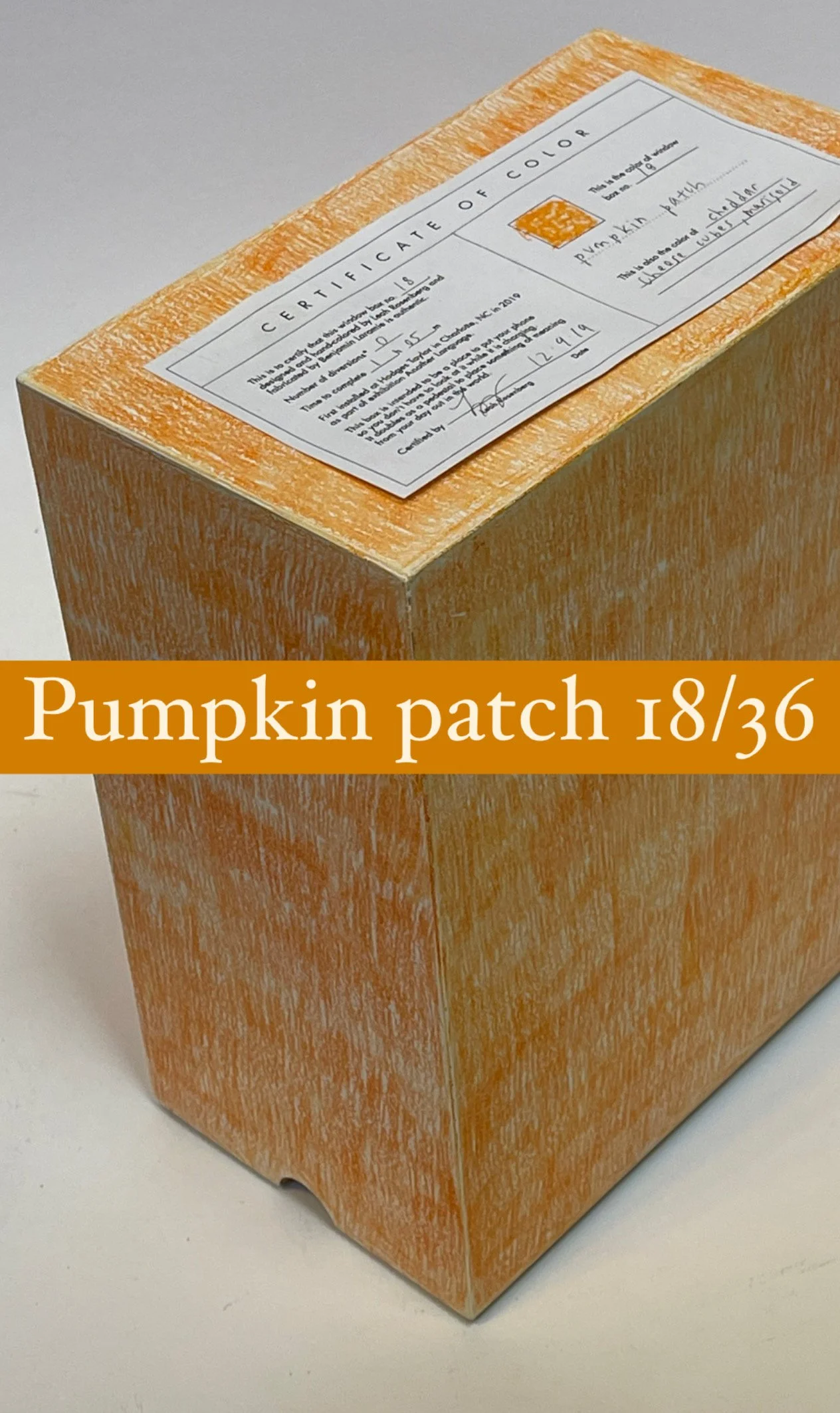 windowbox_pumpkinpatch_18:36.JPG