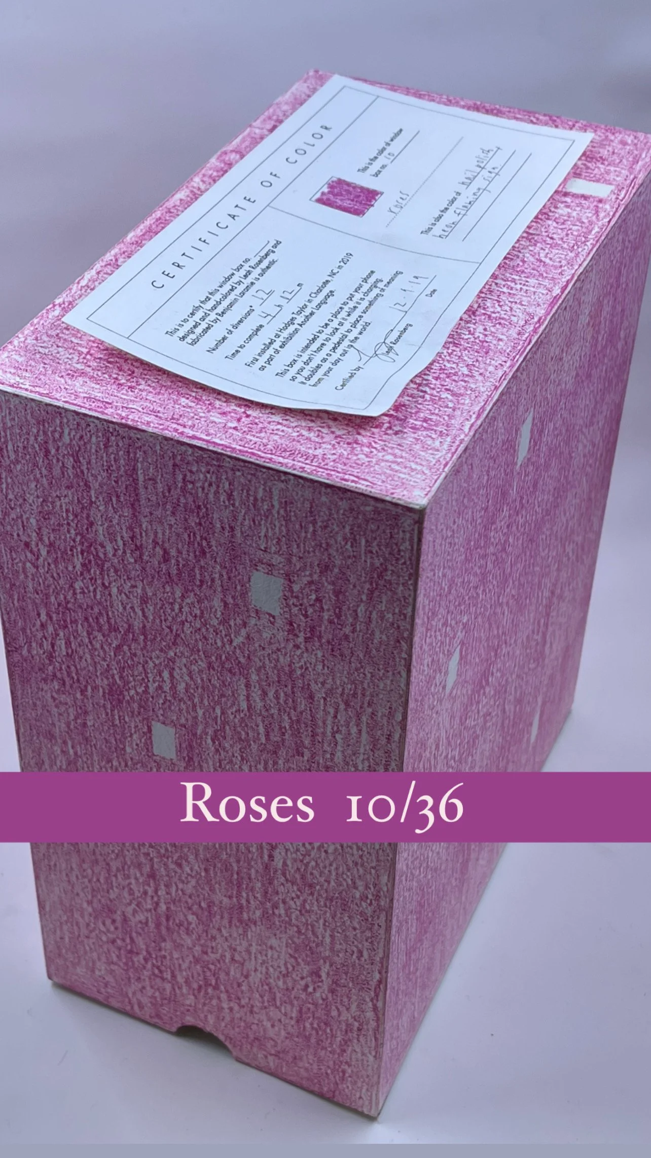 windowbox_roses_10:36.JPG