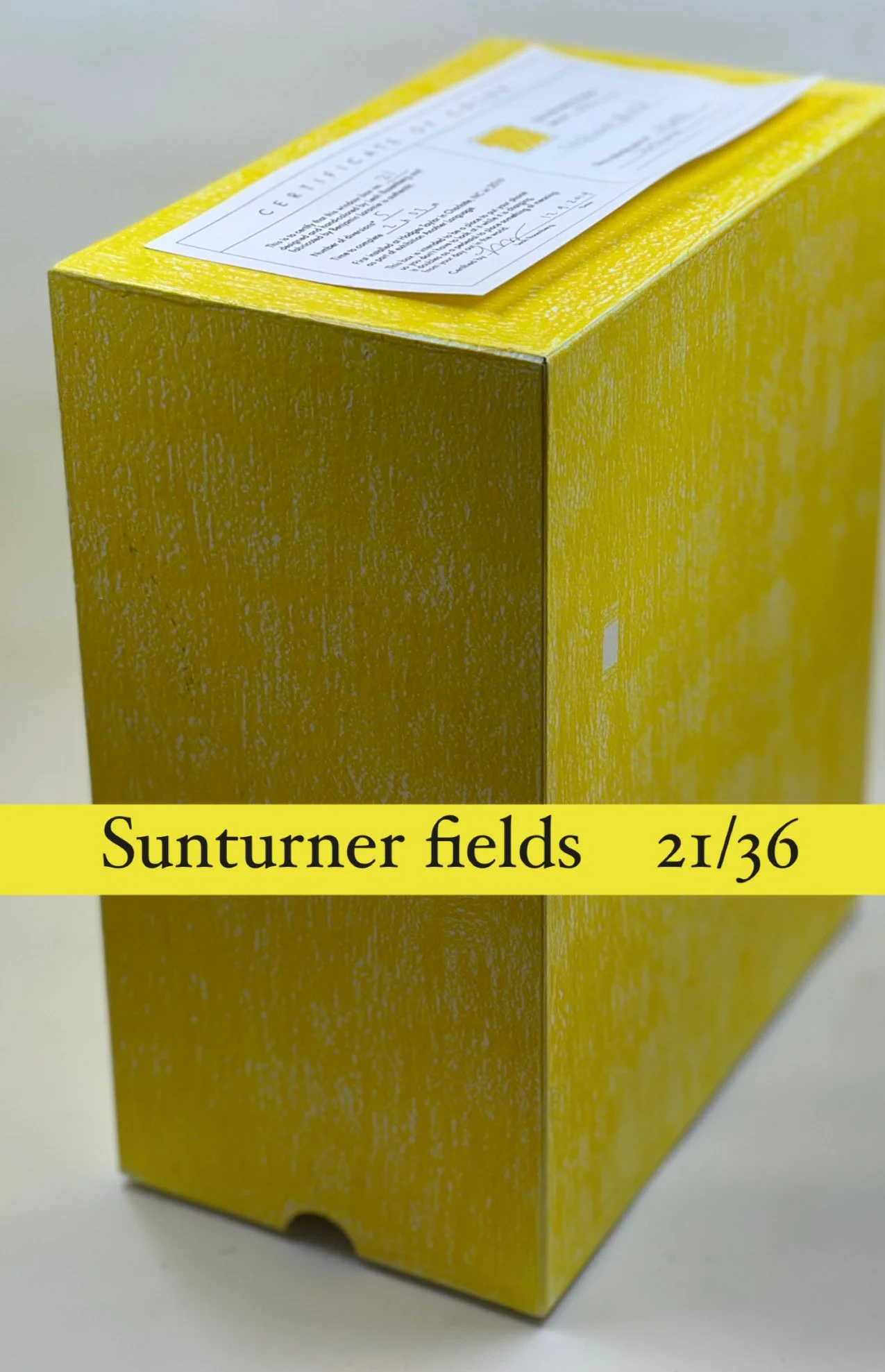 windowbox_Sunturnerfields_21:36.JPG