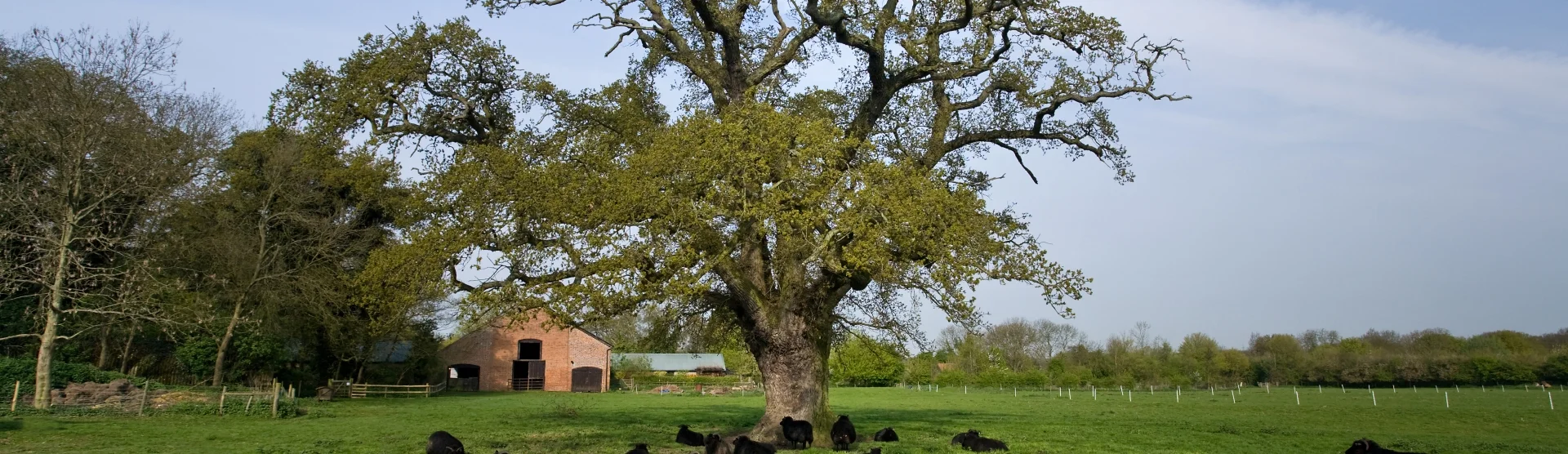 Foxburrow Farm, Woodbridge - Source