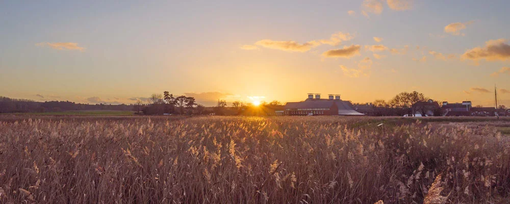 Snape Maltings - Source