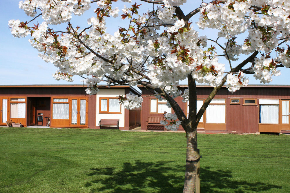Chalets and Blossom Tree at Mablethope Park.jpg