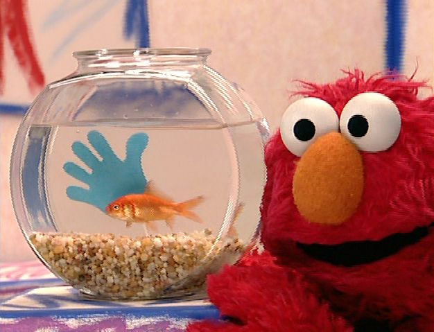 Photo Courtesy of http://muppet.wikia.com/wiki/Elmo's_World:_Hands