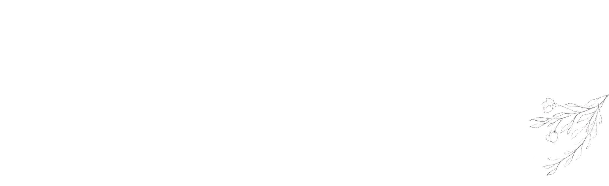 bottom-01.png