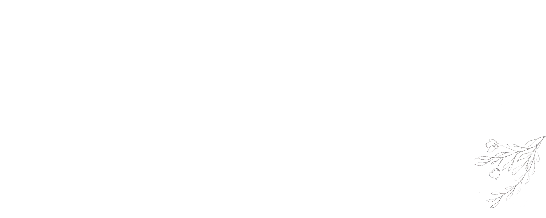 bottom_portfolio-01.png