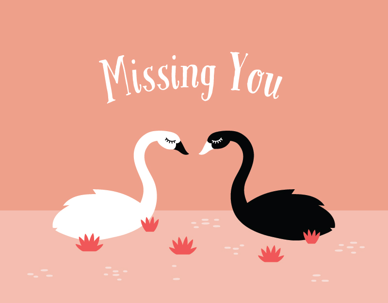 swans-missing-you.jpg