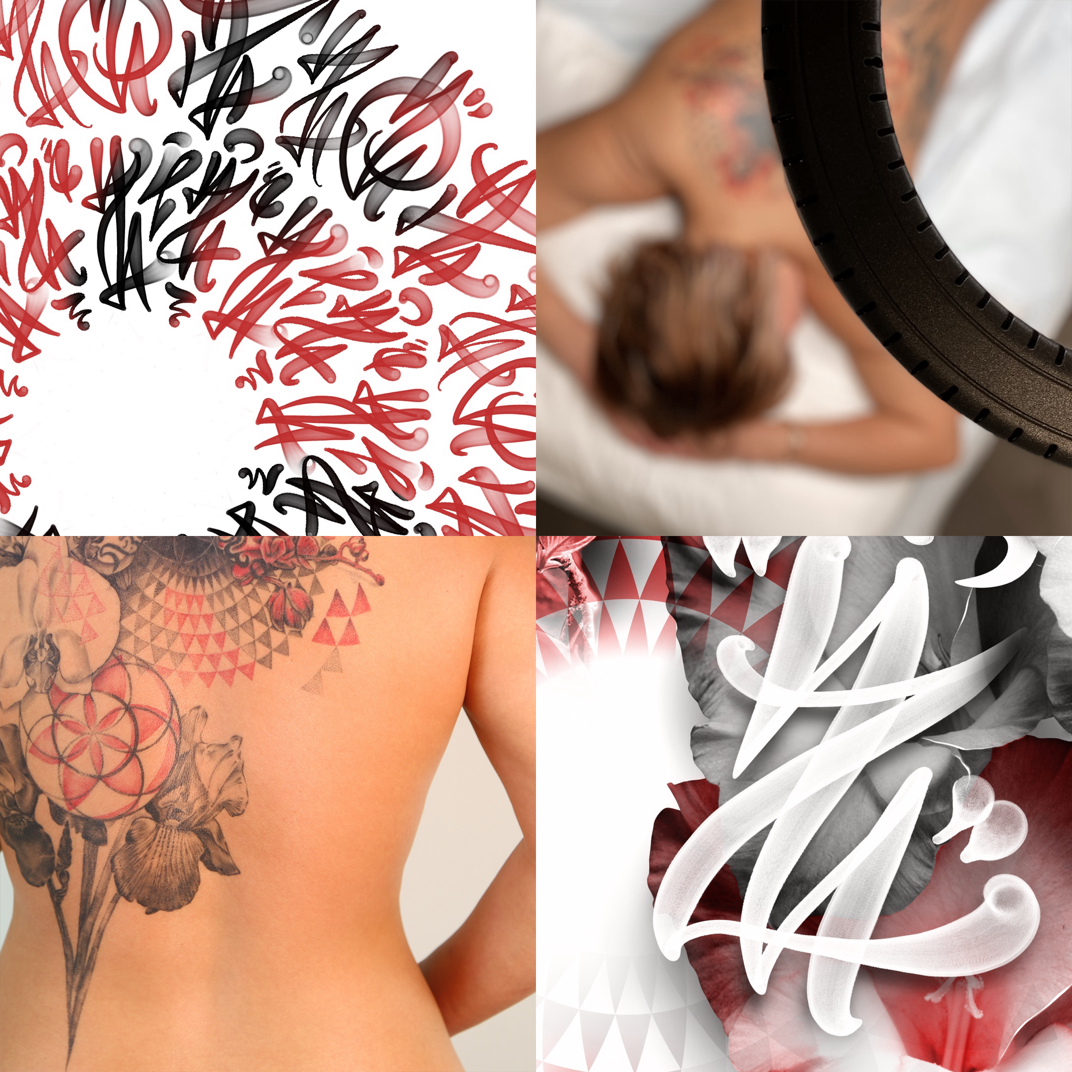 ampersandweb_2160_grid_ashley-01.png