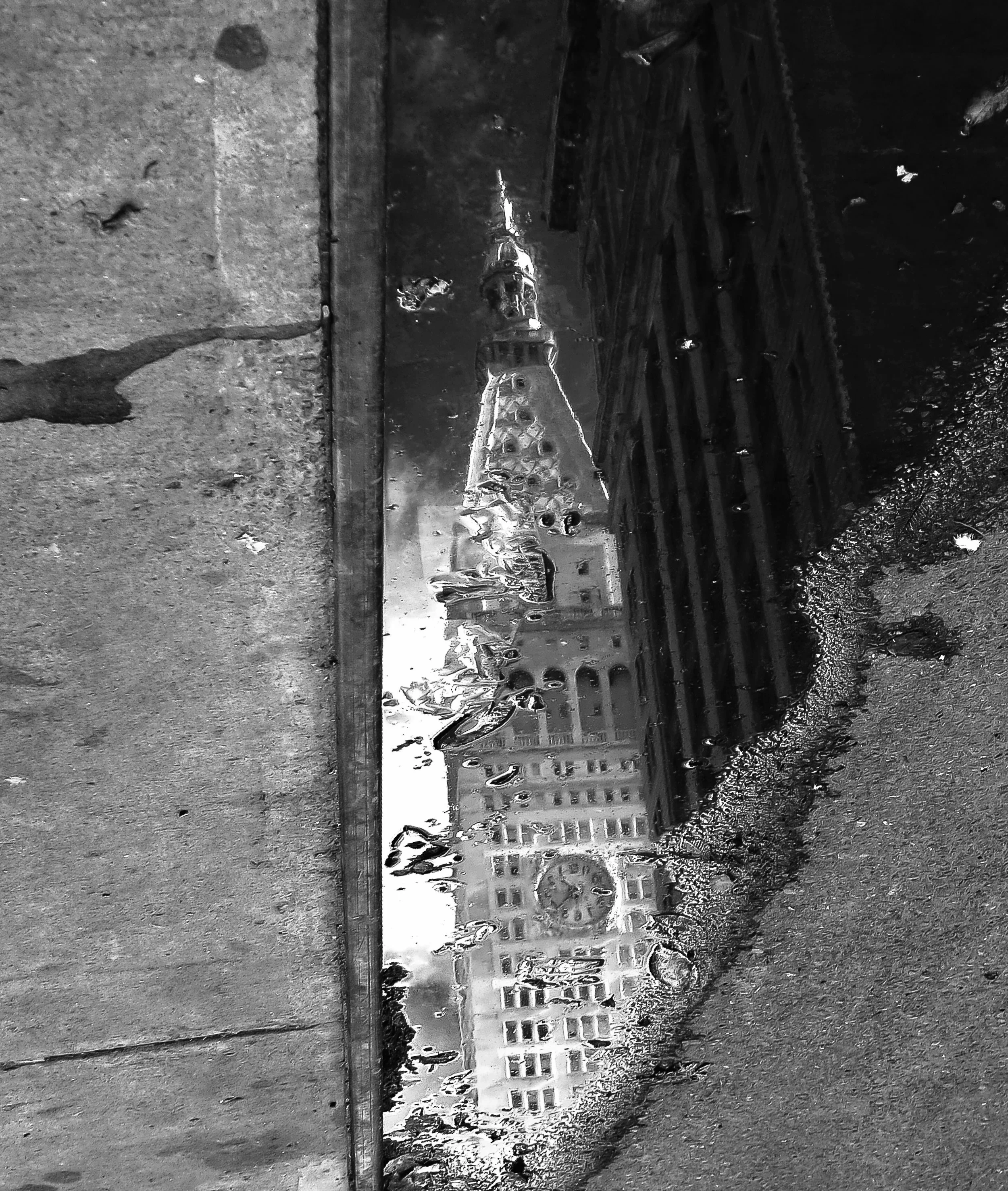 Puddle, NYC, 2018
