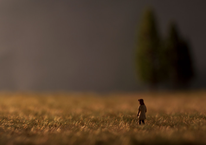 field.jpg