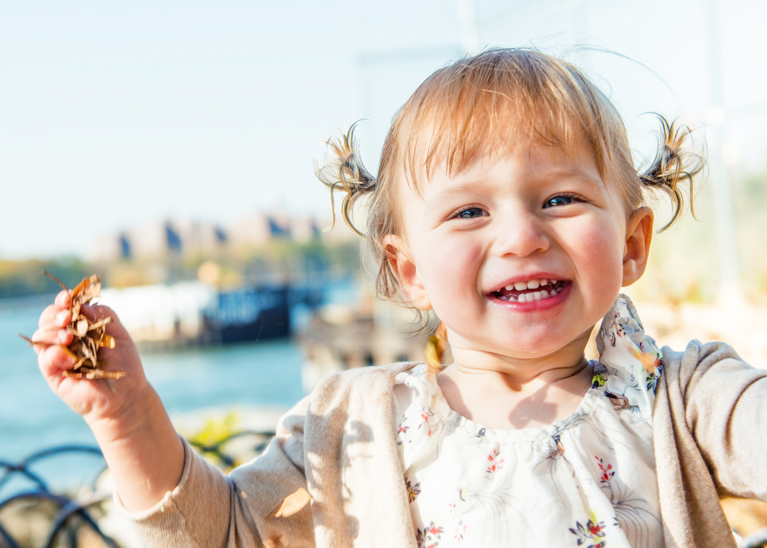 PIGTAILS, Brooklyn, 2015