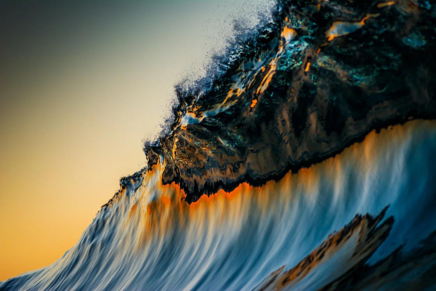 Shot with Aquatech COMPAC Elite D7200 water housing with P-110 port / Nikon D-7100 / Tokina 100mm f2.8