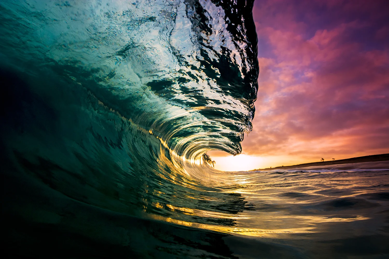Shot with Aquatech Elite A7 Series I water housing with P-110 / Sony A7 / Tokina 11-26mm f2.8
