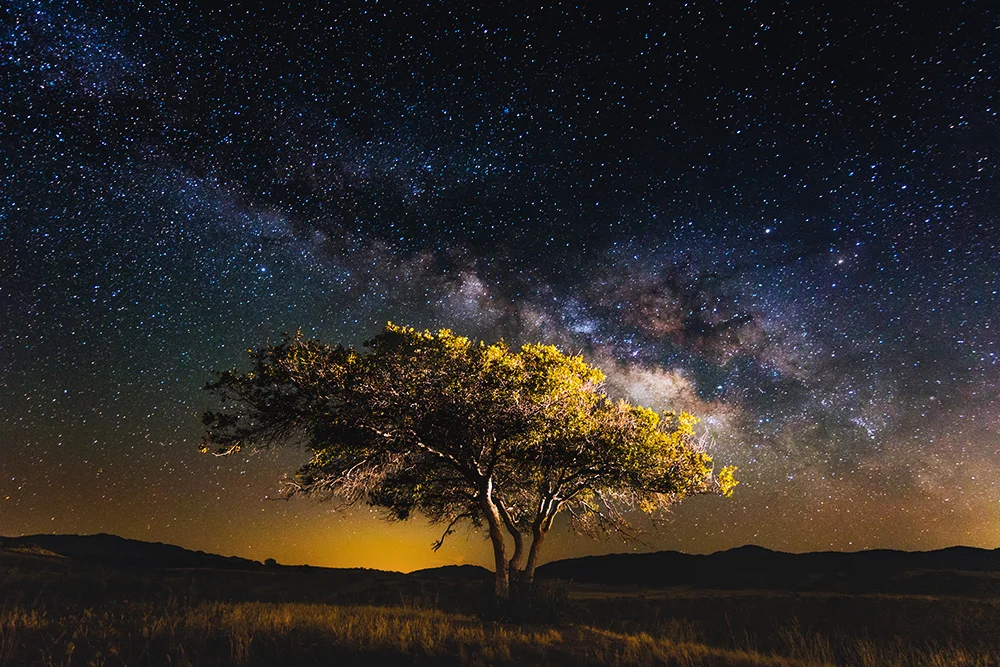 This image was captured in mid April at roughly 2am in the morning on my way heading to Borrego Springs, California. A perfect example of how the Milky Way rises much later in the Winter / Spring season compared to the Summer months such as July. Where this same degree of arch in the Milky Way can been seen directly after sun down. Shot with the Sony a6300 & Tokina 11 - 20mm f2.8