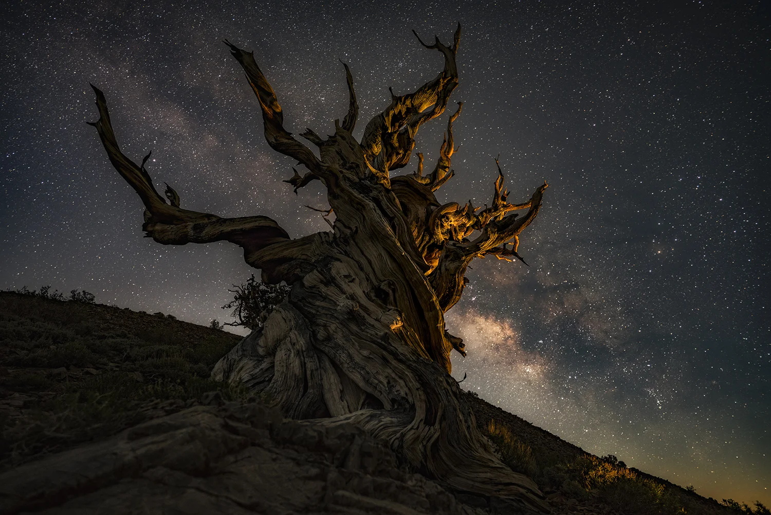 CAPTURED WITH THE SONY A7RII / TOKINA FIRIN 20MM F2.0 / HOYA INTENSIFIER / SLIK AL-420M TRIPOD