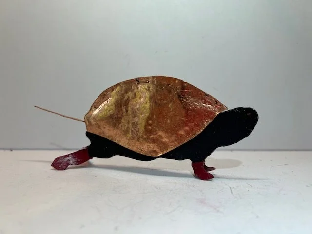 Turtle.jpg
