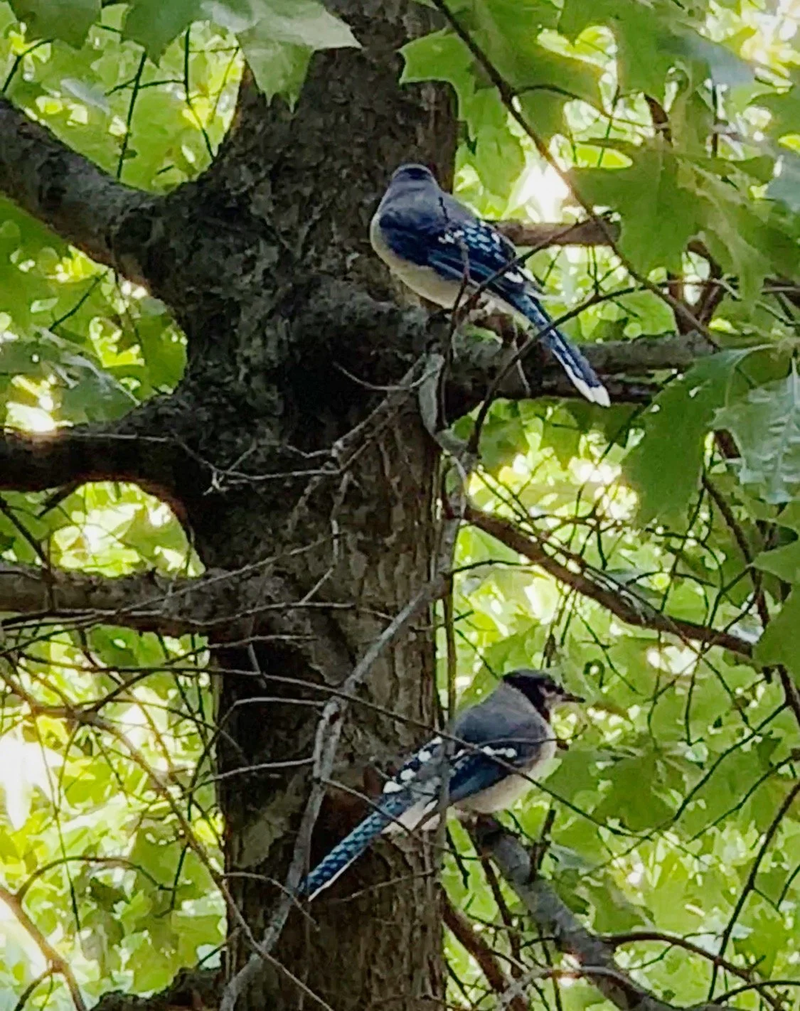 FullSizeRender_VSCO 38.JPG