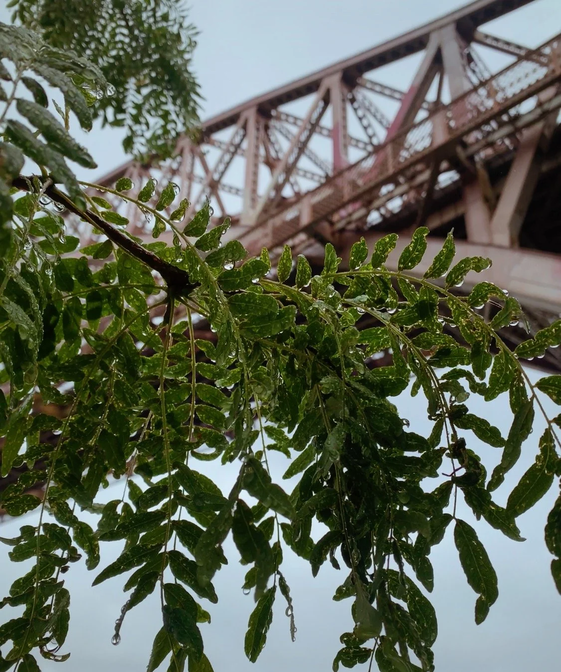 FullSizeRender_VSCO 36.JPG