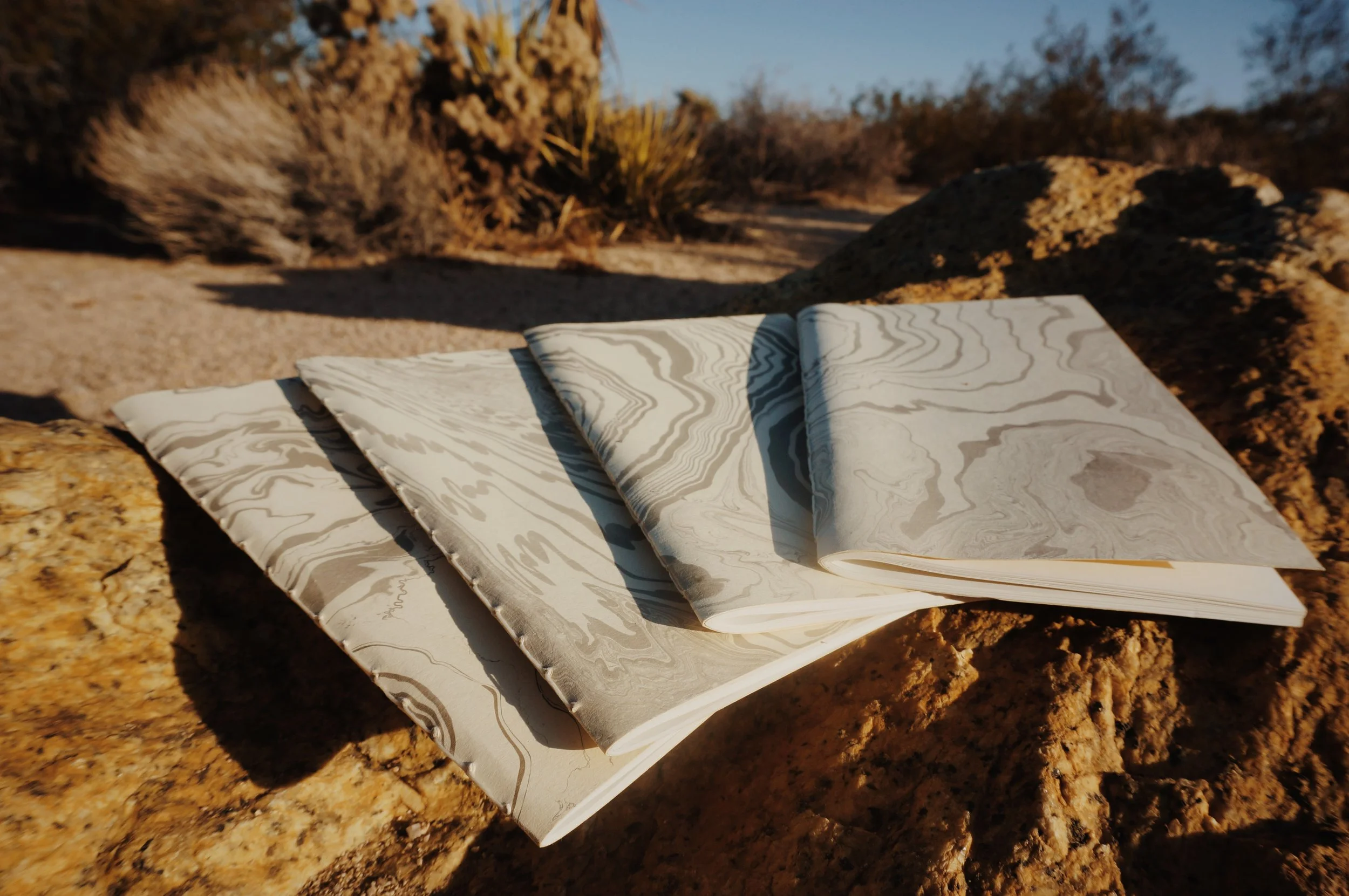 Odette Press Desert Picture.JPG