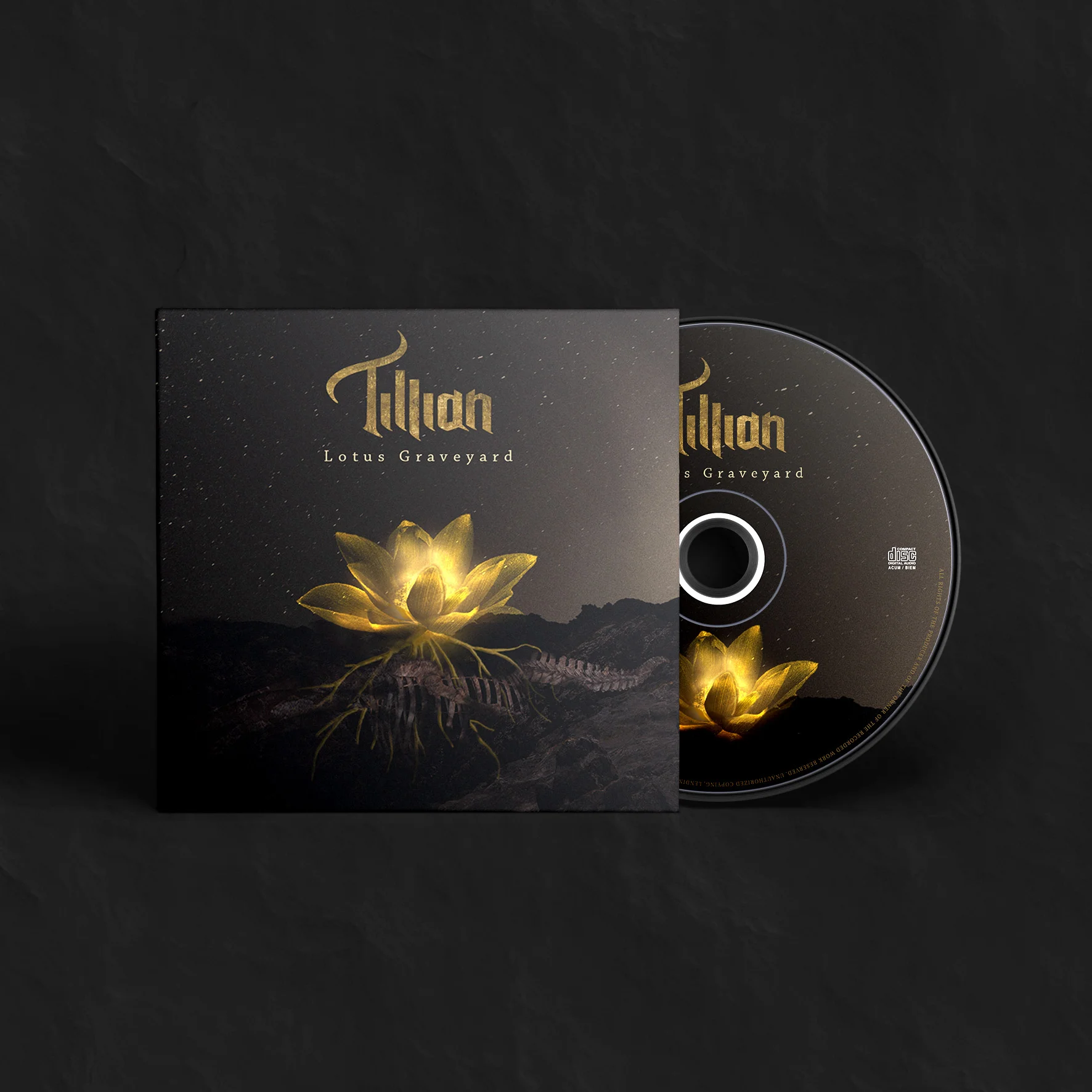 Tillian_front mock up.jpg